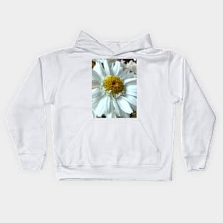 Beautiful white gerbera daisy in focus Kids Hoodie